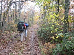 Niceville FL Hiking Trails